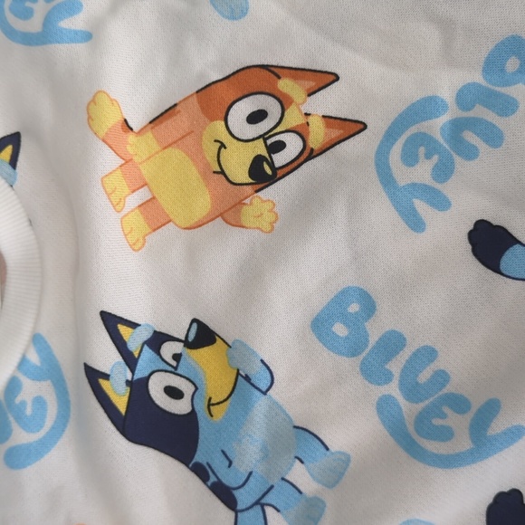 NEW with tags Bluey and Bingo pullover Sweatshirt size 2T - Picture 3 of 5
